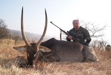 Large Trophy Waterbuck