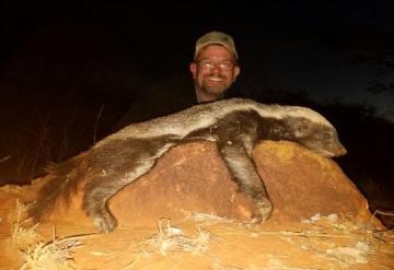 Trophy Honey Badger