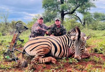 Discounted Plains Game Bow Hunt Zebra trophy