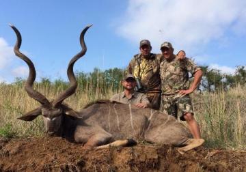 Trophy Kudu