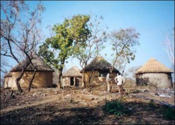 Roan Hunting Safari in Cameroon 16