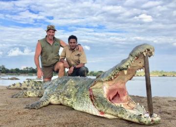 A Giant Selous Reserve crocodlie