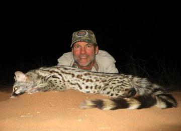 Trophy Genet in Limpopo