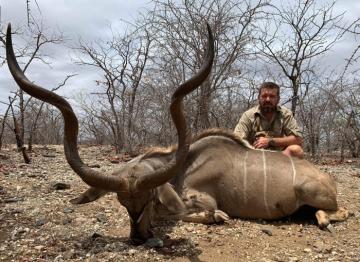 Ultimate Safari Nice Kudu