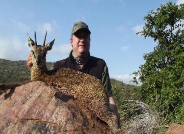 Big Klipspringer taken with a predator Call