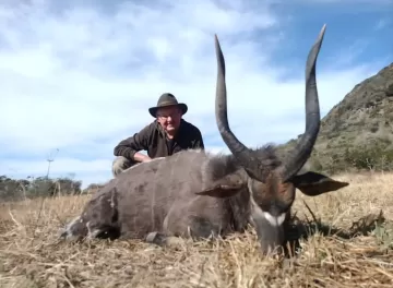 free range trophynyala photos