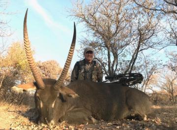 Waterbuck harvested by archery