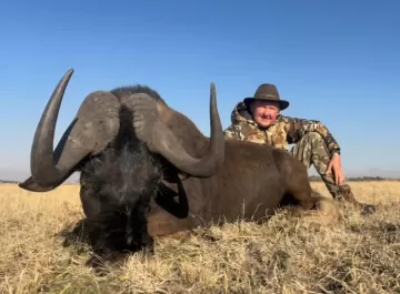black wildebeest hunting in south Africa