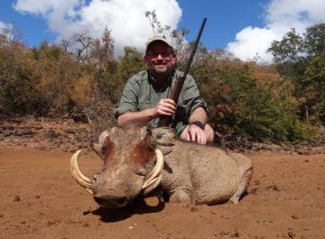 Trophy warthog