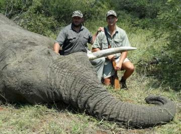 Hunt Elephant in Zimbabwe