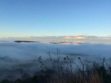 South Africa 10 Day / 6 Animal Eastern Cape Hunting Safari 14