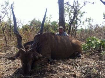Fabulous Lord Derby Eland Safari in Cameroon's Northern Savanna 5