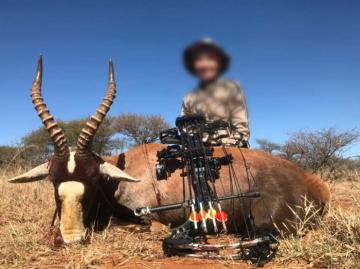 Trophy Blesbuck Bow Hunt