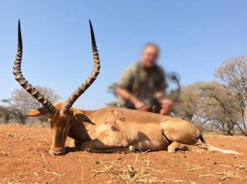 Bow Hunt Impala South Africa