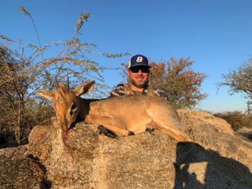 Tiny 10 Damara Dik Dik