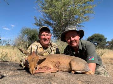 Nice Damara Dik Dik Trophy
