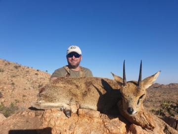 Damara Dik-Dig troph taken in Namibia