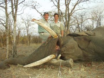 free range dangerous game hunt in south africa