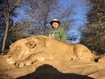 South Africa Spot & Stalk Lioness Hunting Safari 5