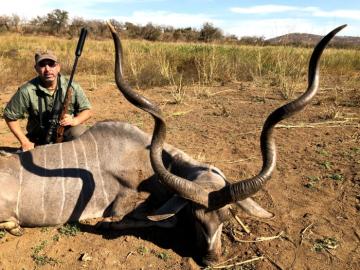 Trophy free-range kudu