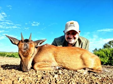 Free Range Red Duiker Trophy