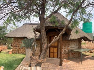 Trophy Lion Hunting Safari Chalets
