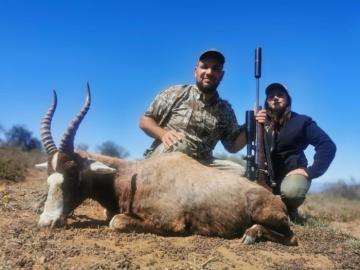 Highly Discounted Bleesbuck