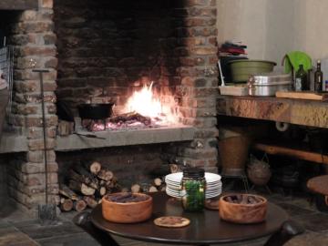 Guests around fireplace