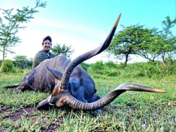 south africa trophy Nyala