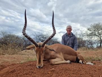 Trophy Impala Bowhunt in South Africa