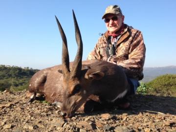 bow hunt bushbuck trophy in south africa