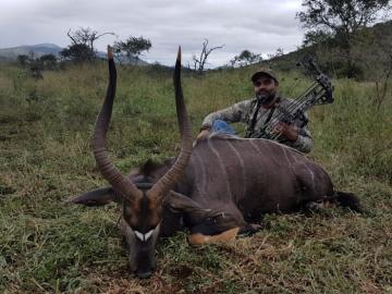 trophy Nyala bow hunting