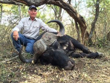 bow hunt cape buffalo