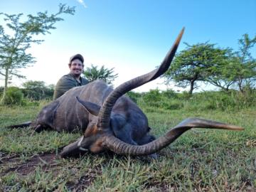 Hunt Free Range Trophy Nyala
