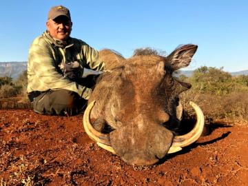 Hunt Giant Warthog in South Africa