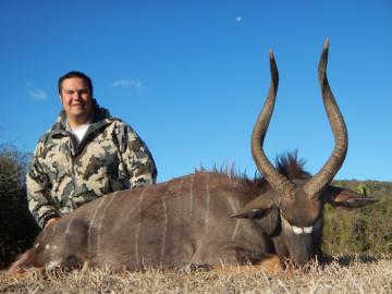 High Quality Nyala Hunt Free Range