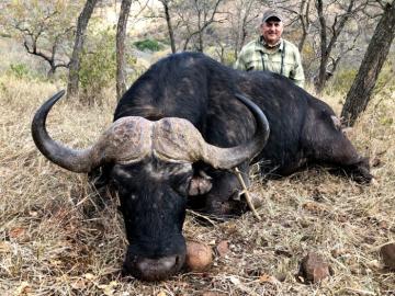 Giant Trophy Buffalo Hunt in South Africa