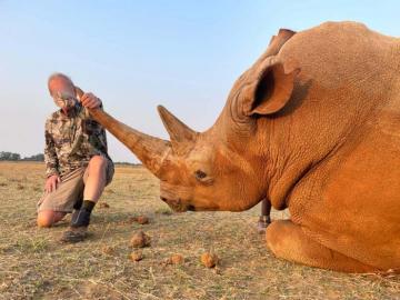 White Rhino Trophy Bull