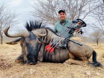 Archery Wildebeest trophy