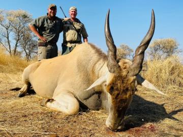 Huge eland
