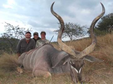 Trophy Kudu