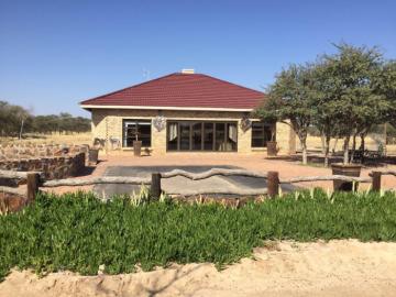 Lion Hunt in the Kalahari Desert 12