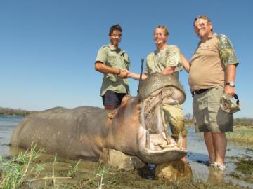Hunt hippo in South Africa 1
