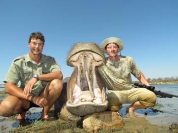 Hunt hippo in South Africa 2