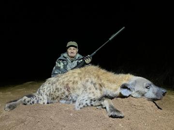 Trophy Hyena in Limpopo