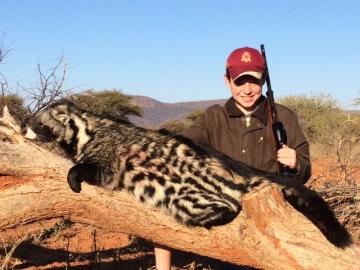 trophy civet