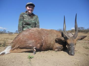 Big Limpopo Bushbuck