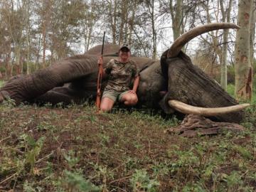 Elephant Hunt in Zimbabwe 5