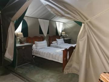 Elephant Hunt in Zimbabwe 14