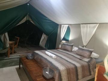 Elephant Hunt in Zimbabwe 13